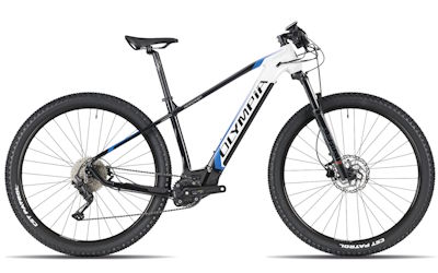PERFORMER 900 Olympia - Vendita biciclette a Varese da ZoccaCicli PERFORMER 900 Olympia vendita biciclette Varese ZoccaCicli